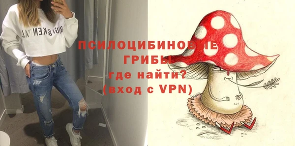 spice Баксан