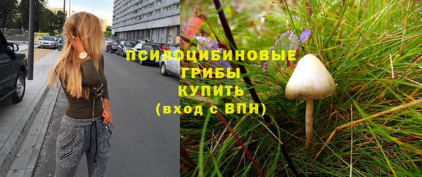spice Баксан