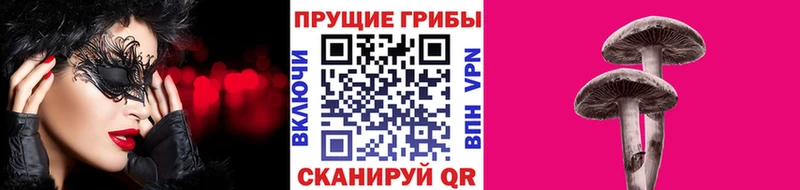 blacksprut маркетплейс как найти закладки Новоалтайск Галлюциногенные грибы Magic Shrooms