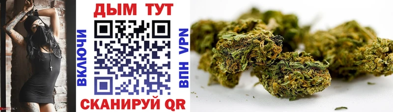 Шишки марихуана Bruce Banner  купить закладку  Новоалтайск 